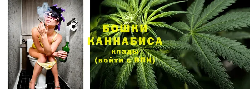 Бошки марихуана OG Kush  дарнет шоп  Слюдянка 